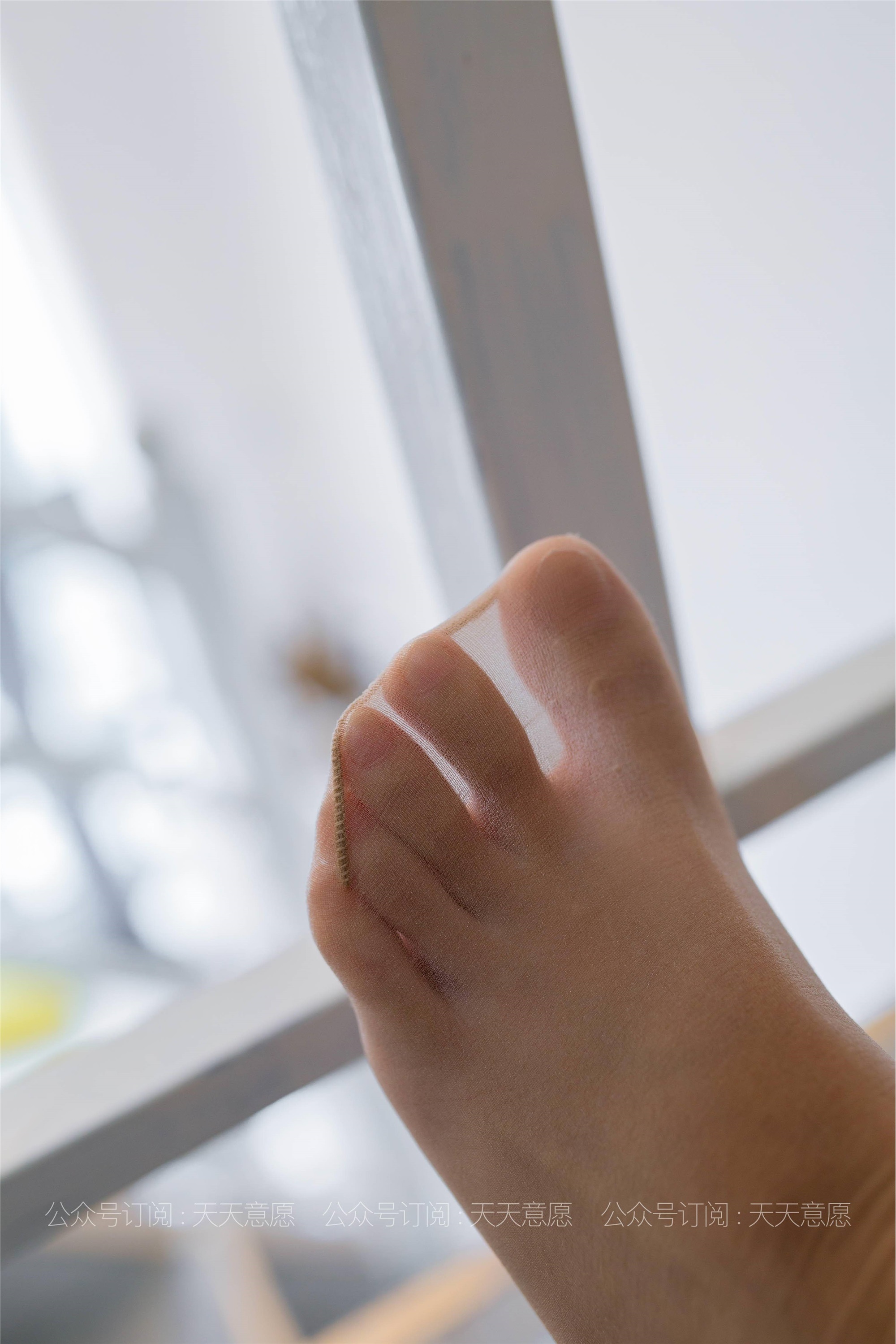 IESS异思趣向 - 模特：婉苹《自愈系白色玫瑰》